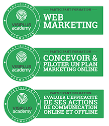 Badges de formation stratégie webmarketing et communication